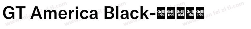 GT America Black字体转换